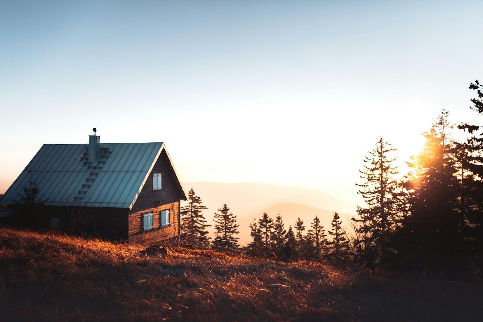 A dark modern cabin with a metal roof among evergreen trees. Photo by Lili Kovac on Unsplash.