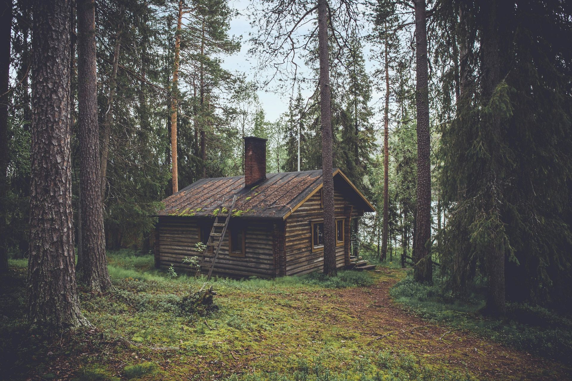 A brown wooden cabin in a sunlit forest. Photo by Olivier Guillard on Unsplash.