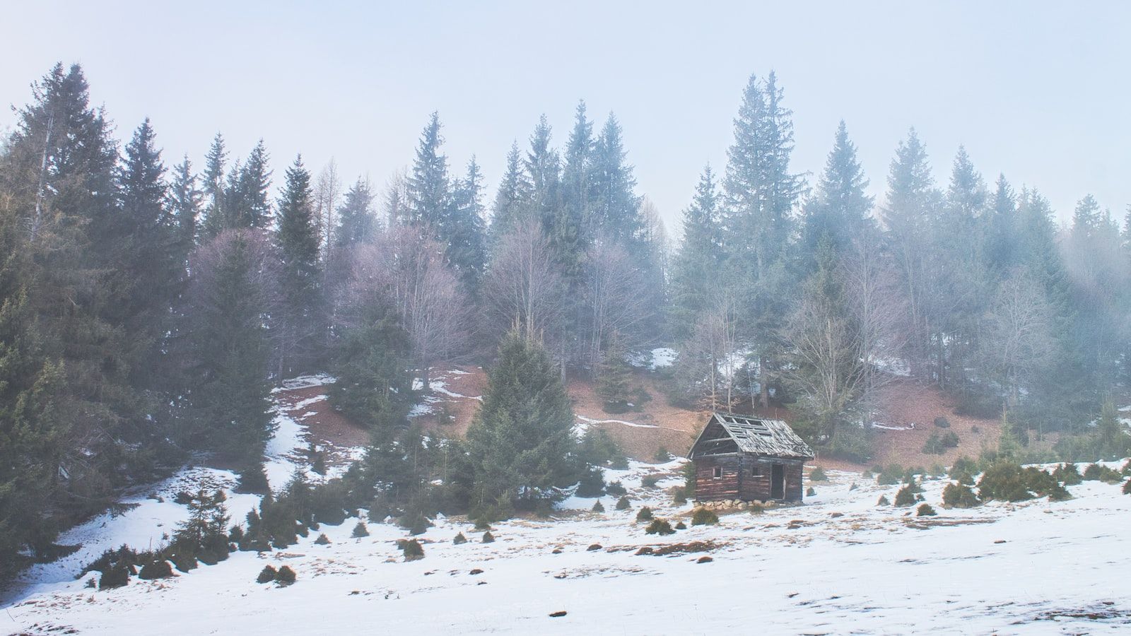 A small wooden hut in a foggy snowy forest. Photo by Krisztián Korhetz on Unsplash.